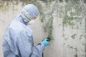 Best Mold Remediation for Healthcare Facilities  in Rio Rancho, NM